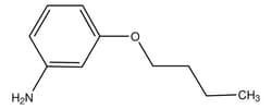 Sigma Aldrich (3-Butoxyphenyl)amine 250 mg | Buy Online | Sigma Aldrich | Fisher Scientific