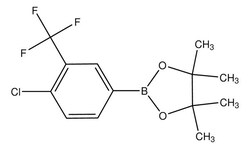 Sigma Aldrich 4-Chloro-3-trifluoromethylphenylboronic acid pinacol ester 1 g | Buy Online | Sigma Aldrich | Fisher Scientific