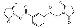 Sigma Aldrich&nbsp;Benzene-1,3-dicarbonyloxysuccinimide