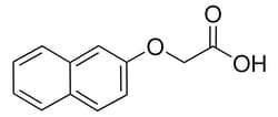 Sigma Aldrich 2-Naphthoxyacetic acid 1 g | Buy Online | Sigma Aldrich | Fisher Scientific