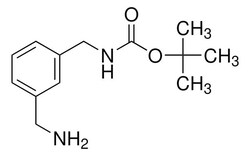Sigma Aldrich 1-(N-Boc-aminomethyl)-3-(aminomethyl)benzene 1 g | Buy Online | Sigma Aldrich | Fisher Scientific