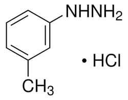 Sigma Aldrich m-Tolylhydrazine hydrochloride 25 g | Buy Online | Sigma Aldrich | Fisher Scientific