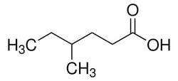 Sigma Aldrich 4-Methylhexanoic Acid 1 g | Buy Online | Sigma Aldrich | Fisher Scientific