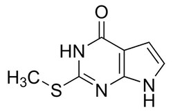 Sigma Aldrich 2-(Methylthio)-3H-pyrrolo[2,3-d]pyrimidin-4(7H)-one 1 g | Buy Online | Sigma Aldrich | Fisher Scientific