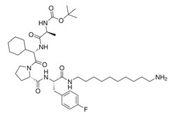 Sigma Aldrich Boca1V2Pf2-Nhc10-Nh2 50 mg | Buy Online | Sigma Aldrich | Fisher Scientific
