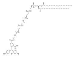 Sigma Aldrich&nbsp;Carboxyfluorescein-Dpeg &trade;24-Amido-Dpeg &trade;24-Dspe