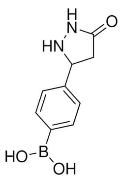 Sigma Aldrich&nbsp;4-(5-oxopyrazolidin-3-yl)phenylboronic acid
