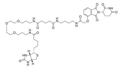 Sigma Aldrich&nbsp;Biotin-Thalidomide