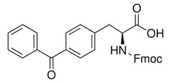 Sigma Aldrich Fmoc-Bpa-Oh 1 g | Buy Online | Sigma Aldrich | Fisher Scientific