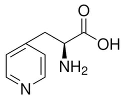 Sigma Aldrich 3-(4-Pyridyl)-L-Alanine 1 g | Buy Online | Sigma Aldrich | Fisher Scientific