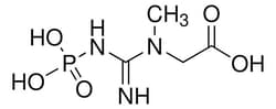 Sigma Aldrich&nbsp;[[Imino(phosphonoamino)methyl](methyl)amino]acetic acid