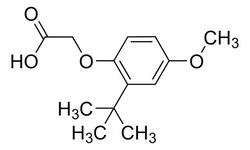 Sigma Aldrich&nbsp;(2-tert-Butyl-4-methoxyphenoxy)acetic acid