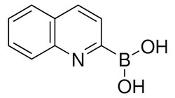 Sigma Aldrich Quinoline-2-boronic acid 1 g | Buy Online | Sigma Aldrich | Fisher Scientific