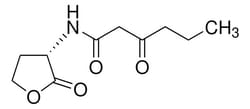 Sigma Aldrich N-(Beta-Ketocaproyl)-L-Homoserine Lactone 10 g | Buy Online | Sigma Aldrich | Fisher Scientific