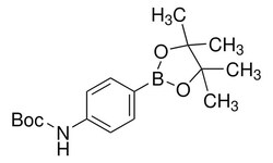 Sigma Aldrich 4-(N-Boc-Amino)Phenylboronic Acid Pinacol Ester 5 g | Buy Online | Sigma Aldrich | Fisher Scientific