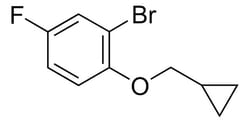 Sigma Aldrich 4-Fluoro-2-bromophenol methylcyclopropyl ether 100 g | Buy Online | Sigma Aldrich | Fisher Scientific