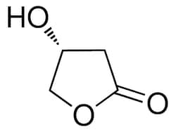 Sigma Aldrich&nbsp;(R)-3-Hydroxy-gamma-butyrolactone