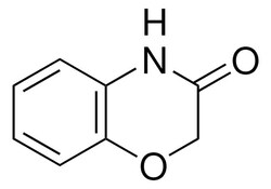 Sigma Aldrich 2H-1,4-Benzoxazin-3(4H)-one 100 mg | Buy Online | Sigma Aldrich | Fisher Scientific