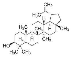 Sigma Aldrich Lupeol 25 mg | Buy Online | Sigma Aldrich | Fisher Scientific
