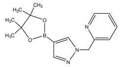 Sigma Aldrich 1-(pyridin-2-ylmethyl)-1H-pyrazole-4-boronic acid pinacol ester 1 g | Buy Online | Sigma Aldrich | Fisher Scientific