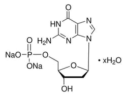 Sigma Aldrich 2'-Deoxyguanosine 5'-Monophosphate Disodium Salt Hydrate 100 g | Buy Online | Sigma Aldrich | Fisher Scientific