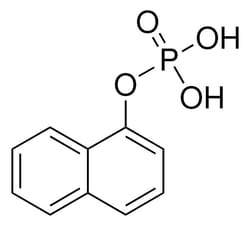 Sigma Aldrich&nbsp;1-Naphthyl phosphate