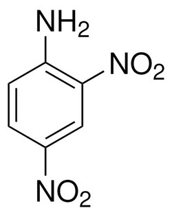 Sigma Aldrich 2,4-Dinitroaniline 1 g | Buy Online | Sigma Aldrich | Fisher Scientific