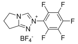Sigma Aldrich 6,7-Dihydro-2-Pentafluorophenyl-5H-Pyrrolo[2,1-C]-1,2,4-Triazolium Tetrafluoroborate 500 mg | Buy Online | Sigma Aldrich | Fisher Scientific