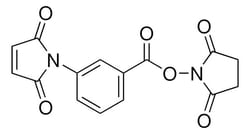 Sigma Aldrich 3-Maleimidobenzoic Acid N-Hydroxysuccinimide Ester 100 mg | Buy Online | Sigma Aldrich | Fisher Scientific