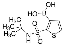 Sigma Aldrich 2-(tert-Butylsulfamoyl)thiophene-3-boronic acid 1 g | Buy Online | Sigma Aldrich | Fisher Scientific