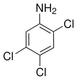 Sigma Aldrich 2,4,5-Trichloroaniline 1 g | Buy Online | Sigma Aldrich | Fisher Scientific