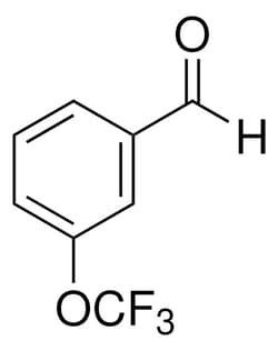 Sigma Aldrich 3-(Trifluoromethoxy)benzaldehyde 1 g | Buy Online | Sigma Aldrich | Fisher Scientific