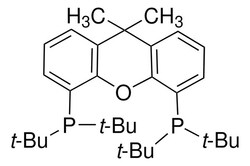 Sigma Aldrich 9,9-Dimethyl-4,5-Bis(Di-Tert-Butylphosphino)Xanthene 1 g | Buy Online | Sigma Aldrich | Fisher Scientific