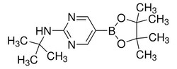 Sigma Aldrich 2-tert-Butylaminopyrimidine-5-boronic acid, pinacol ester 1 g | Buy Online | Sigma Aldrich | Fisher Scientific