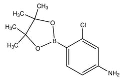 Sigma Aldrich 4-Amino-2-chlorophenylboronic acid pinacol ester 1 g | Buy Online | Sigma Aldrich | Fisher Scientific