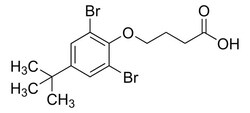 Sigma Aldrich&nbsp;4-(2,6-Dibromo-4-tert-butylphenoxy)butanoic acid