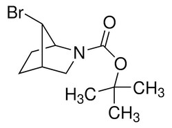 Sigma Aldrich&nbsp;tert-Butyl 7-bromo-2-azabicyclo[2.2.1]heptane-2-carboxylate