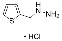 Sigma Aldrich&nbsp;(2-Thienylmethyl)hydrazine hydrochloride