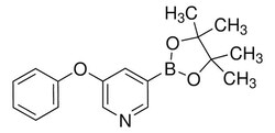 Sigma Aldrich 5-Phenoxypyridine-3-boronic acid, pinacol ester 1 g | Buy Online | Sigma Aldrich | Fisher Scientific