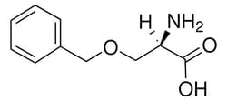 Sigma Aldrich O-Benzyl-D-Serine 1 g | Buy Online | Sigma Aldrich | Fisher Scientific