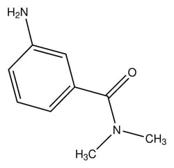 Sigma Aldrich 3-Amino-N,N-dimethylbenzamide 10 g | Buy Online | Sigma Aldrich | Fisher Scientific