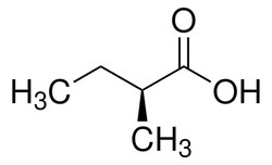 Sigma Aldrich (S)-(+)-2-Methylbutyric Acid 5 g | Buy Online | Sigma Aldrich | Fisher Scientific