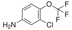 Sigma Aldrich 3-Chloro-4-(trifluoromethoxy)phenylamine 5 g | Buy Online | Sigma Aldrich | Fisher Scientific