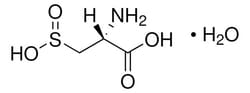Sigma Aldrich L-Cysteinesulfinic Acid Monohydrate 100 mL | Buy Online | Sigma Aldrich | Fisher Scientific