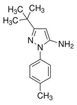 Sigma Aldrich 5-tert-Butyl-2-p-tolyl-2H-pyrazol-3-ylamine 1 g | Buy Online | Sigma Aldrich | Fisher Scientific