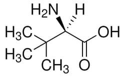 Sigma Aldrich D-Tert-Leucine 5 g | Buy Online | Sigma Aldrich | Fisher Scientific