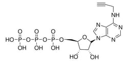 Sigma Aldrich&nbsp;N6-Propargyl-Atp Sodium Salt