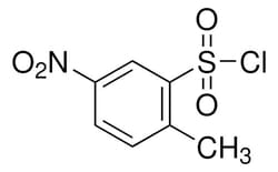 Sigma Aldrich 2-Methyl-5-nitrobenzenesulfonyl chloride 250 mg | Buy Online | Sigma Aldrich | Fisher Scientific
