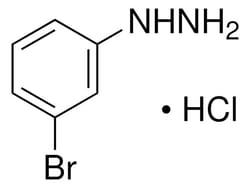Sigma Aldrich 3-Bromophenylhydrazine hydrochloride 1 g | Buy Online | Sigma Aldrich | Fisher Scientific