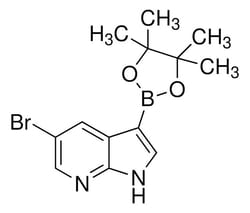 Sigma Aldrich 5-Bromo-3-(4,4,5,5-tetramethyl-1,3,2-dioxaborolan-2-yl)-1H-pyrrolo[2,3-b]pyridine 5 g | Buy Online | Sigma Aldrich | Fisher Scientific
